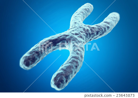 X Chromosome on blue background with focus effect 23643873