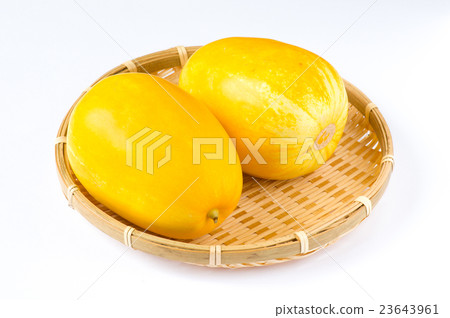 Mr. McCawly, Kintaro 23643961