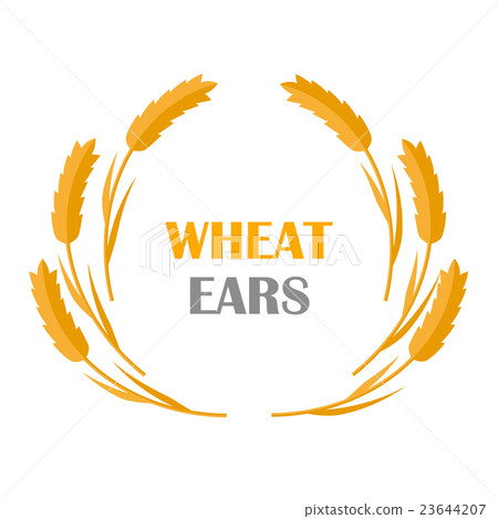 Wheat Ears Concept Illustration in Flat Design. 23644207