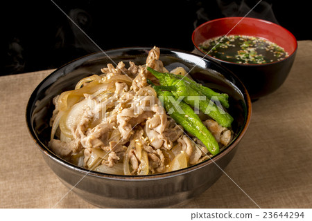 Pork bowl of rice bowls 23644294