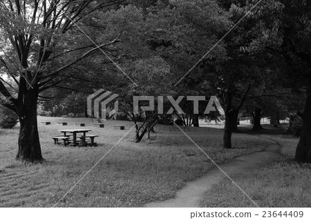  公園 23644409
