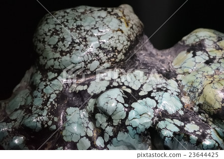 Turquoise Turquoise 23644425
