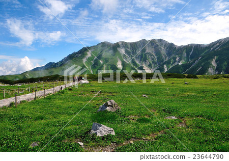 富山縣立山黑部阿爾卑斯山路線Natsuyama Tateyama Ruinshuu 富山縣立山黑部阿爾卑斯山路線Natsuyama Tateyama Ruinshuu 23644790