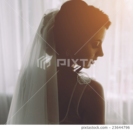 Bride posing in a large window Bride posing in a large window 23644796