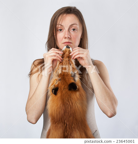 animal protection - dead fox 23645001