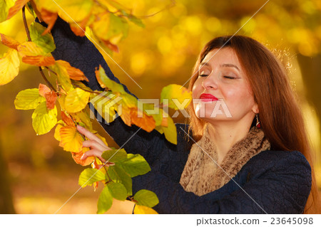 Attractive girl among trees and leaves 23645098