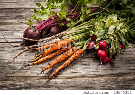 Fresh organic vegetables 23645391