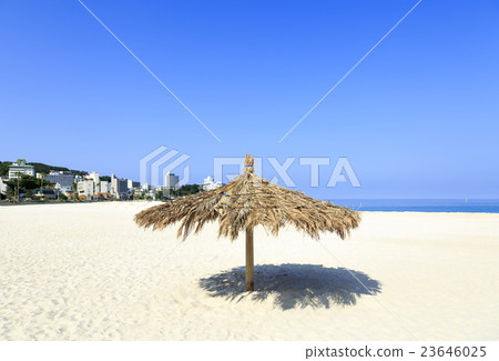 Wakayama prefecture · Nanki Shirahama · Shirahama beach leaves parasol 23646025