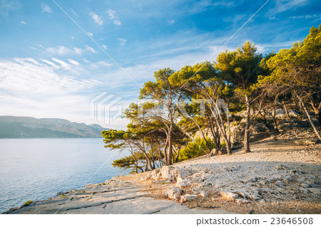 Beautiful nature of Calanques on the azure coast 23646508