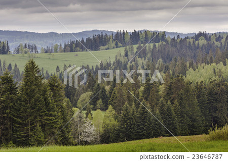 Mountain landscape in spring. Mountain landscape in spring. 23646787