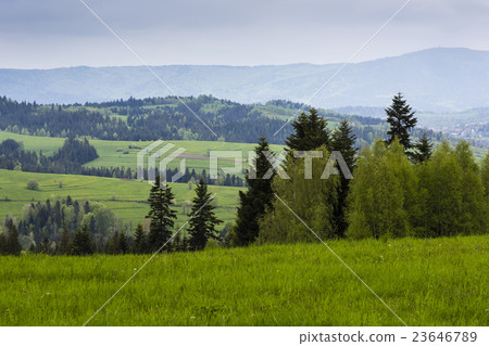 Beautiful view of Beskidy mountains, Poland 23646789