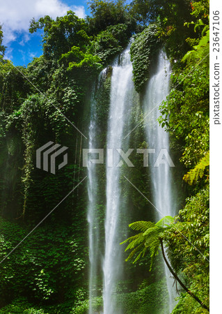 Sekumpul waterfall - Bali island Indonesia Sekumpul waterfall - Bali island Indonesia 23647106