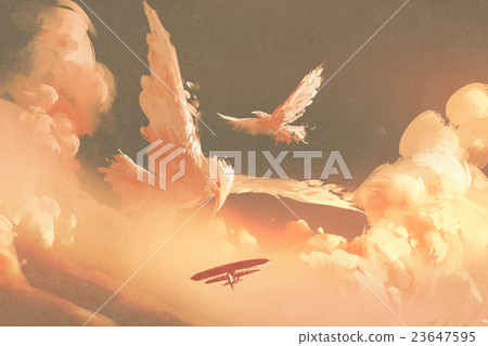 birds shaped cloud in sunset sky birds shaped cloud in sunset sky 23647595