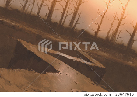 winding road to forest with bare trees winding road to forest with bare trees 23647619