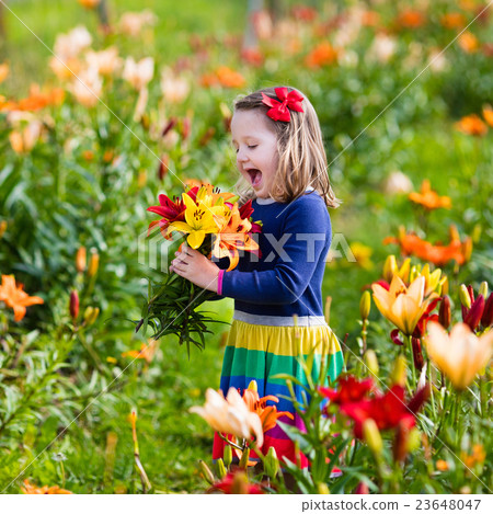 Little girl picking lilly flowers 23648047