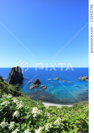 Shimantanisu島嶼Takefoshi海岸 23648786