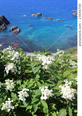 Shimantanisu島嶼Takefoshi海岸 23648789