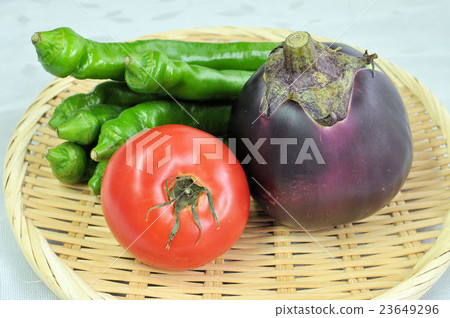 Assorted Kyo vegetables 23649296