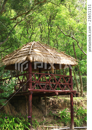 Jiadegu native plant life education park Jiadegu native plant life education park 23651151