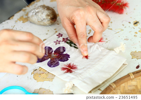 Jiadegu native plant life education park Jiadegu native plant life education park 23651495