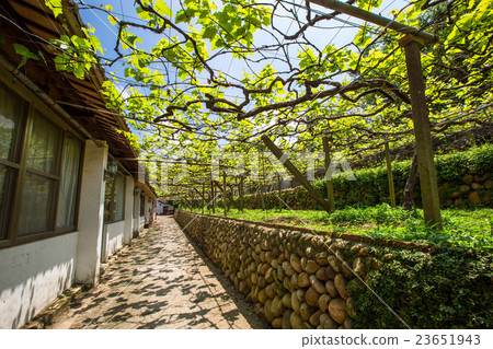 Taichung City Taiwan 23651943