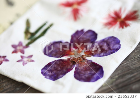 Jiadegu native plant life education park Jiadegu native plant life education park 23652337