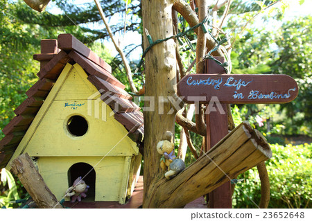 Taichung City Taiwan 23652648