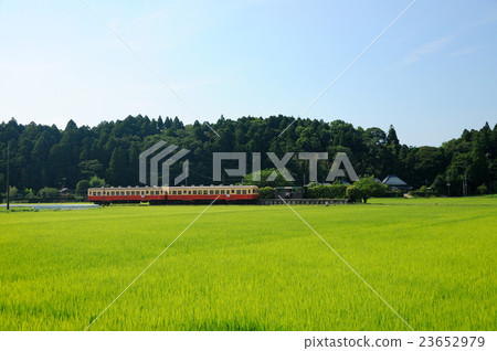 Kominato鐵路 Kominato鐵路 23652979