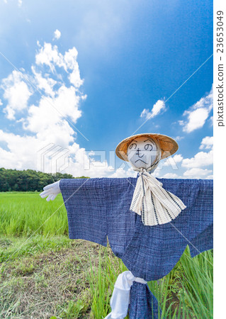 埼玉市夏天的天空和沼之稻田餃子 埼玉市夏天的天空和沼之稻田餃子 23653049