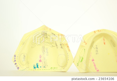 全口義齒設計 23654106