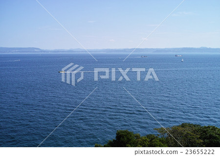 秋海 秋海 23655222