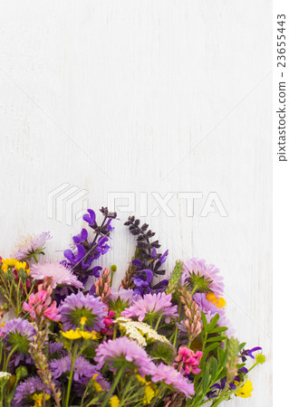 Free space with colorful field flowers bouquet 23655443