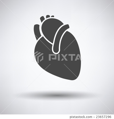 Human heart icon Human heart icon 23657296