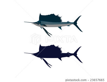 Basho mackerel (Basho fish) 23657665