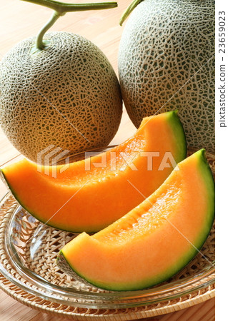 melon 23659023