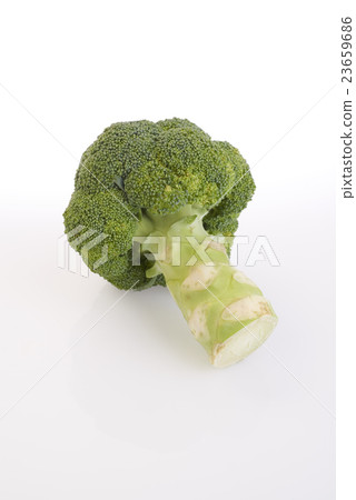 broccoli broccoli 23659686