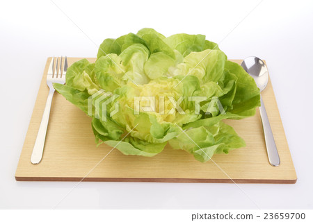 Lettuce Lettuce 23659700