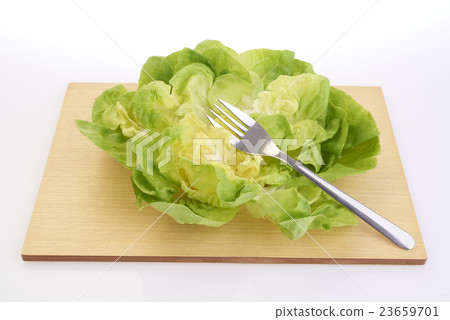 Lettuce Lettuce 23659701