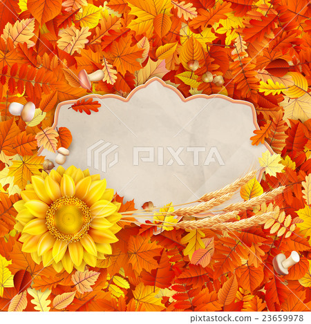 Autumn card on colorful leaves. EPS 10 - Stock Illustration [23659978 ...