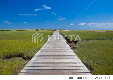 Famous Town Neck Beach Boardwalk in Sandwich 23660541