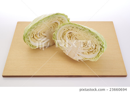 cabbage 23660694