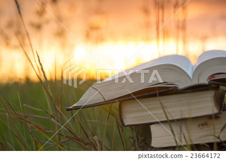 Opened hardback book diary, fanned pages on 23664172