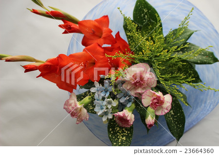 Flower Arrangement centered on Gladiolus and Blue Star 23664360