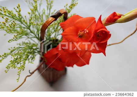以唐菖蒲和Soridako為中心的插花 23664362