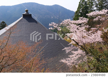 Kuradora Temple of Kyoto Spring 23664480