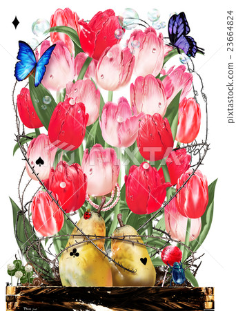 Many tulips 23664824
