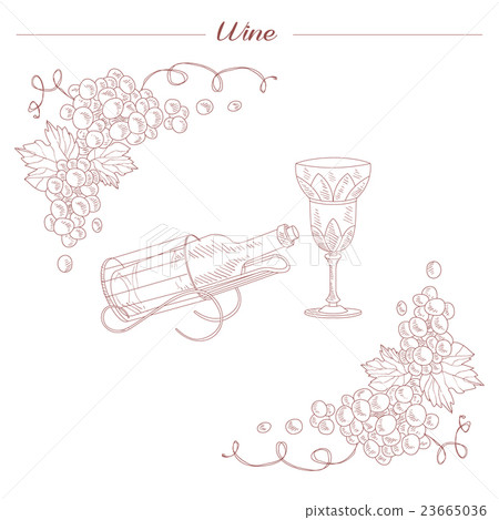 Vintage Bottle And Wine Glass Hand Drawn Realistic 23665036