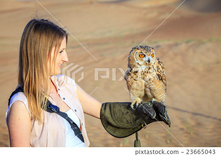 Desert Eagle Owl in training 23665043