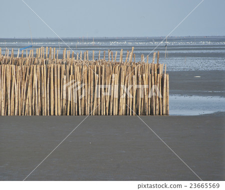 bamboo barrier wall for protection coastline wave 23665569