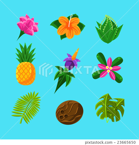 Tropical Plants And Fruits Set Tropical Plants And Fruits Set 23665650
